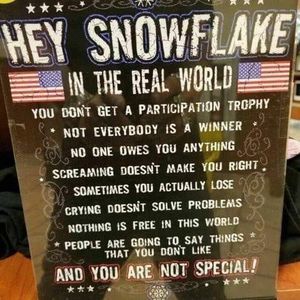 Meet your Posher, Donald